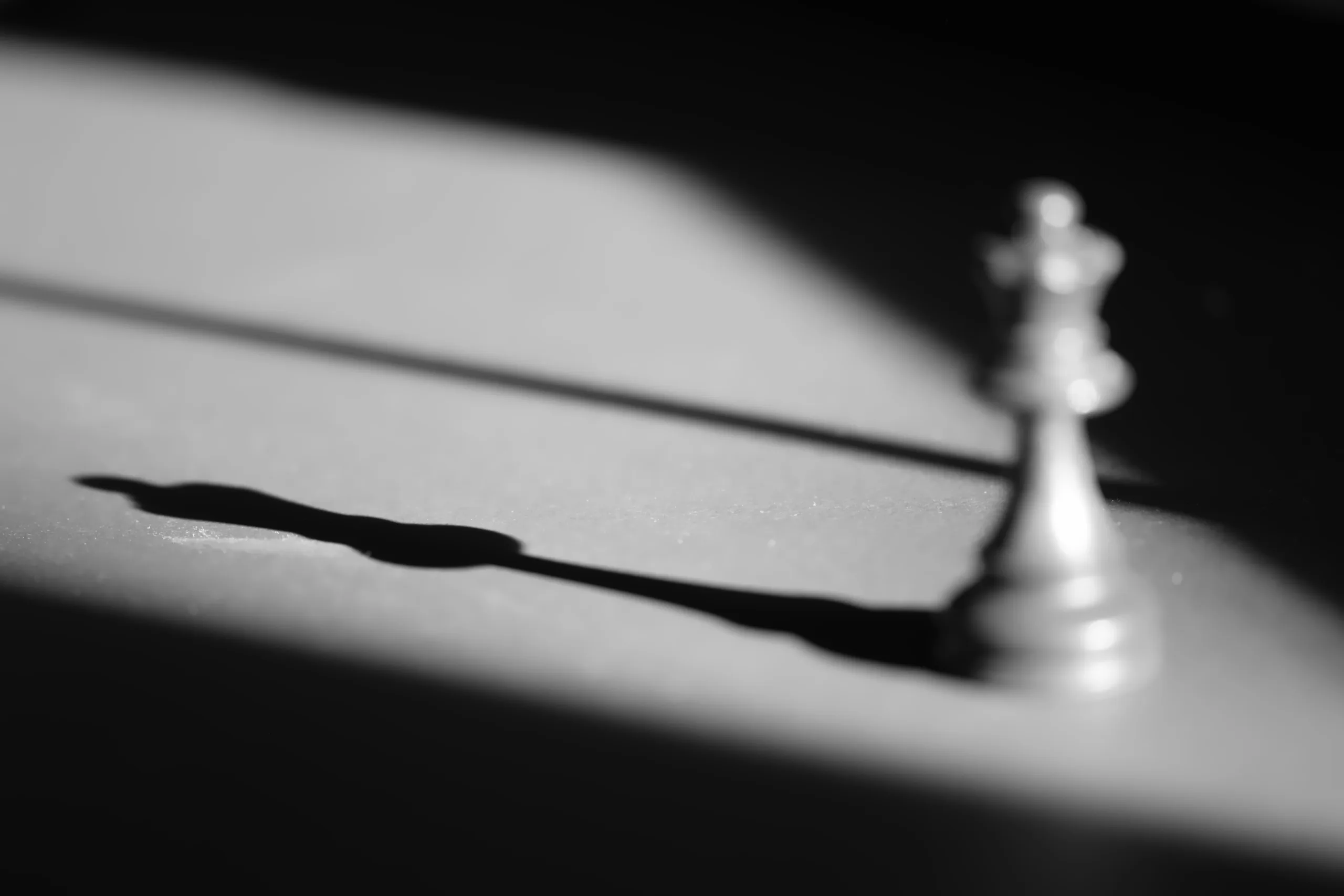 ombra di un pezzo (regina) degli scacchi in bianco e nero